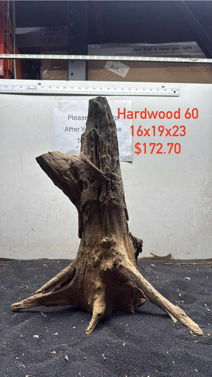 Hardwood Stump 060