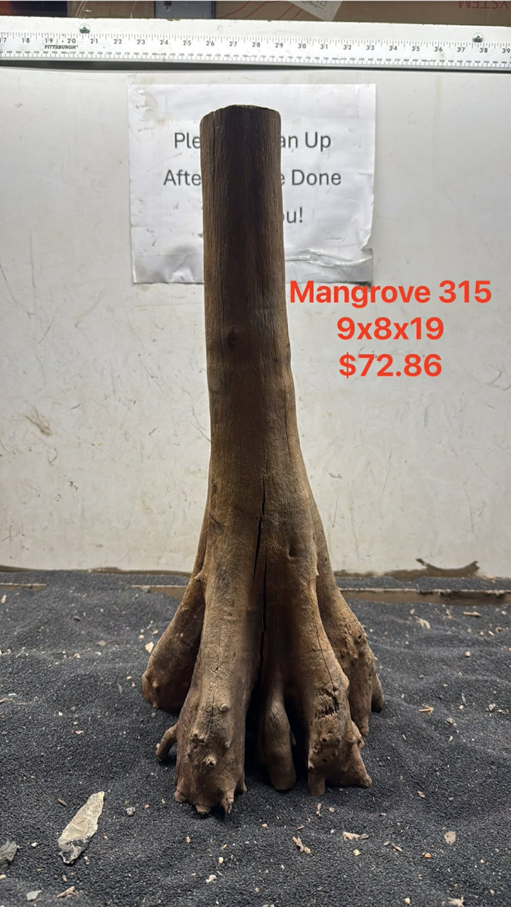 Mangrove Tree Stump 315