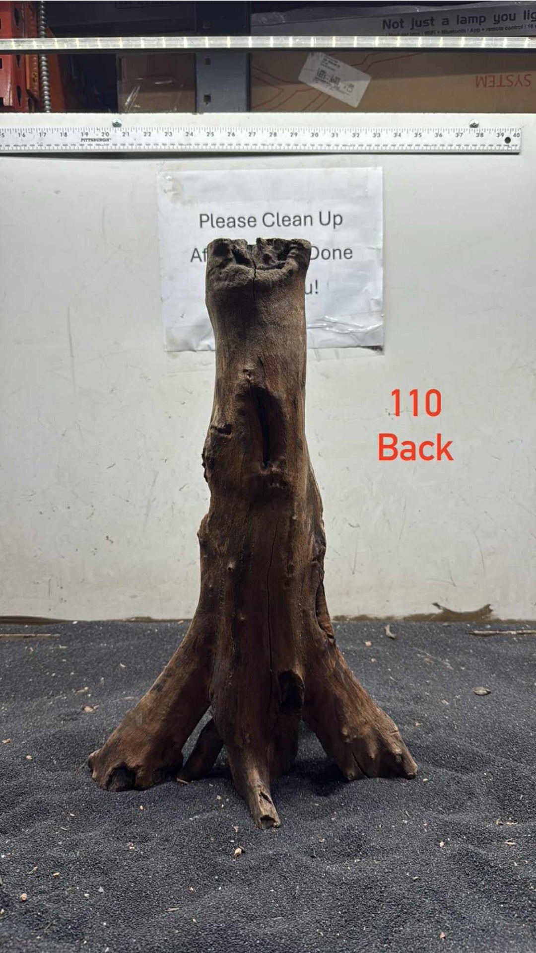 Mangrove Tree Stump 110