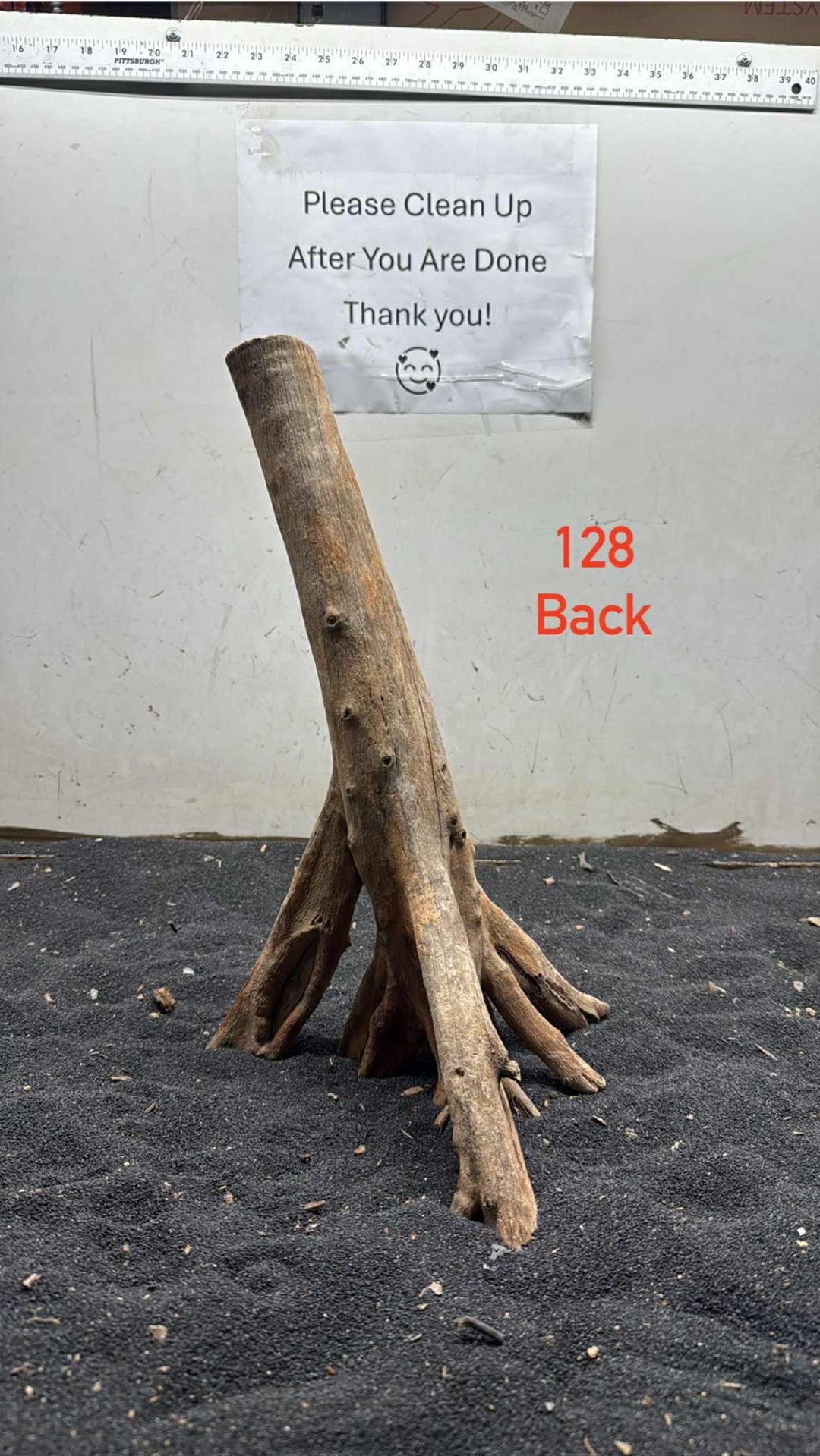 Mangrove Tree Stump 128
