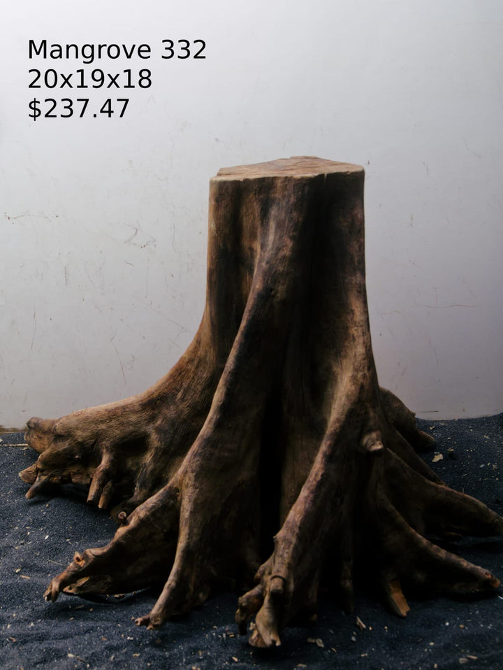 Mangrove Tree Stump 332