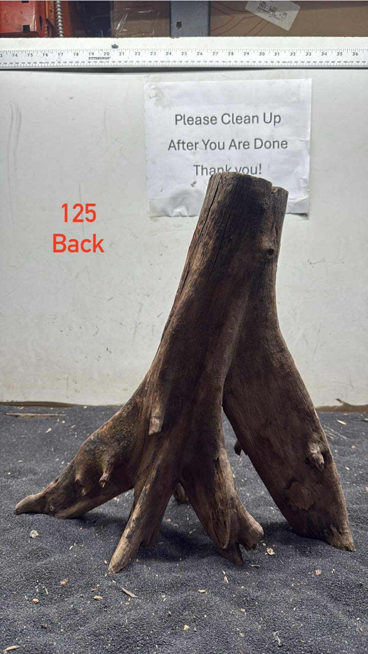 Mangrove Tree Stump 125