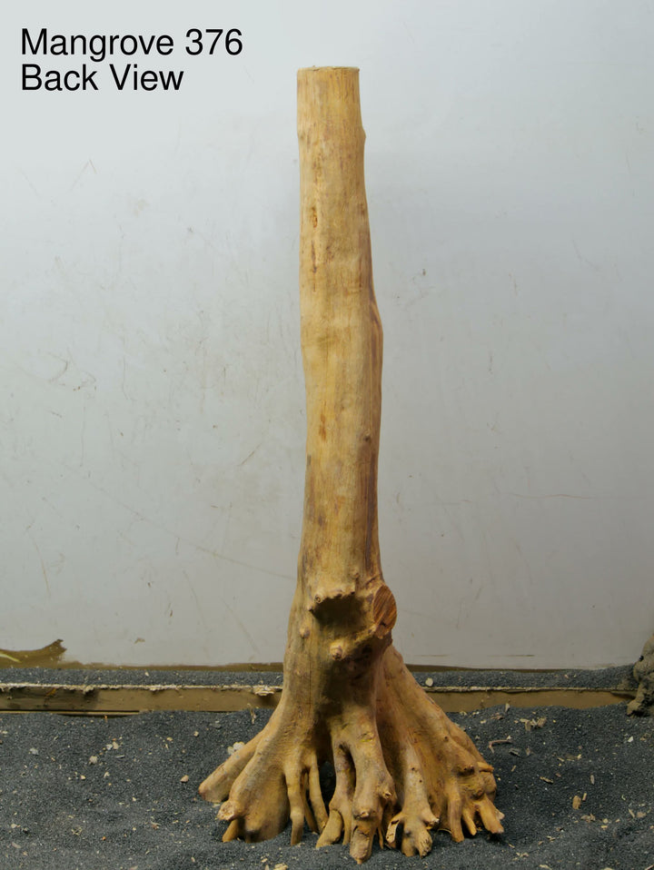 Mangrove Tree Stump 376