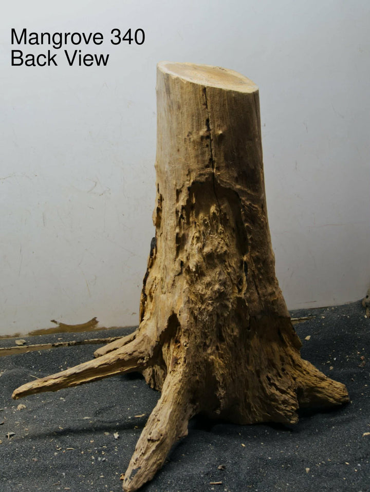 Mangrove Tree Stump 340
