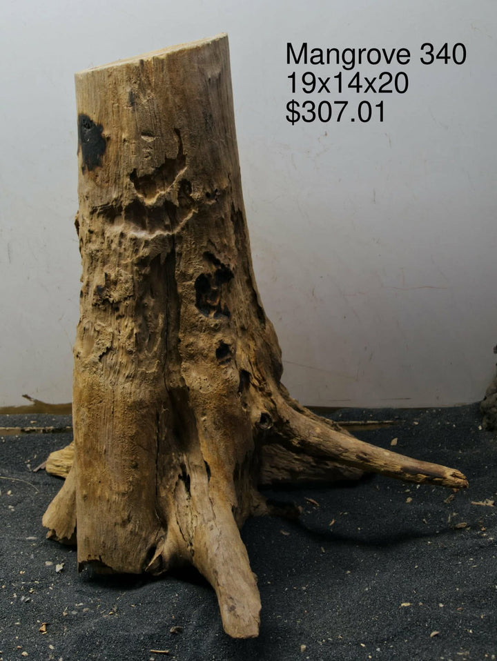 Mangrove Tree Stump 340