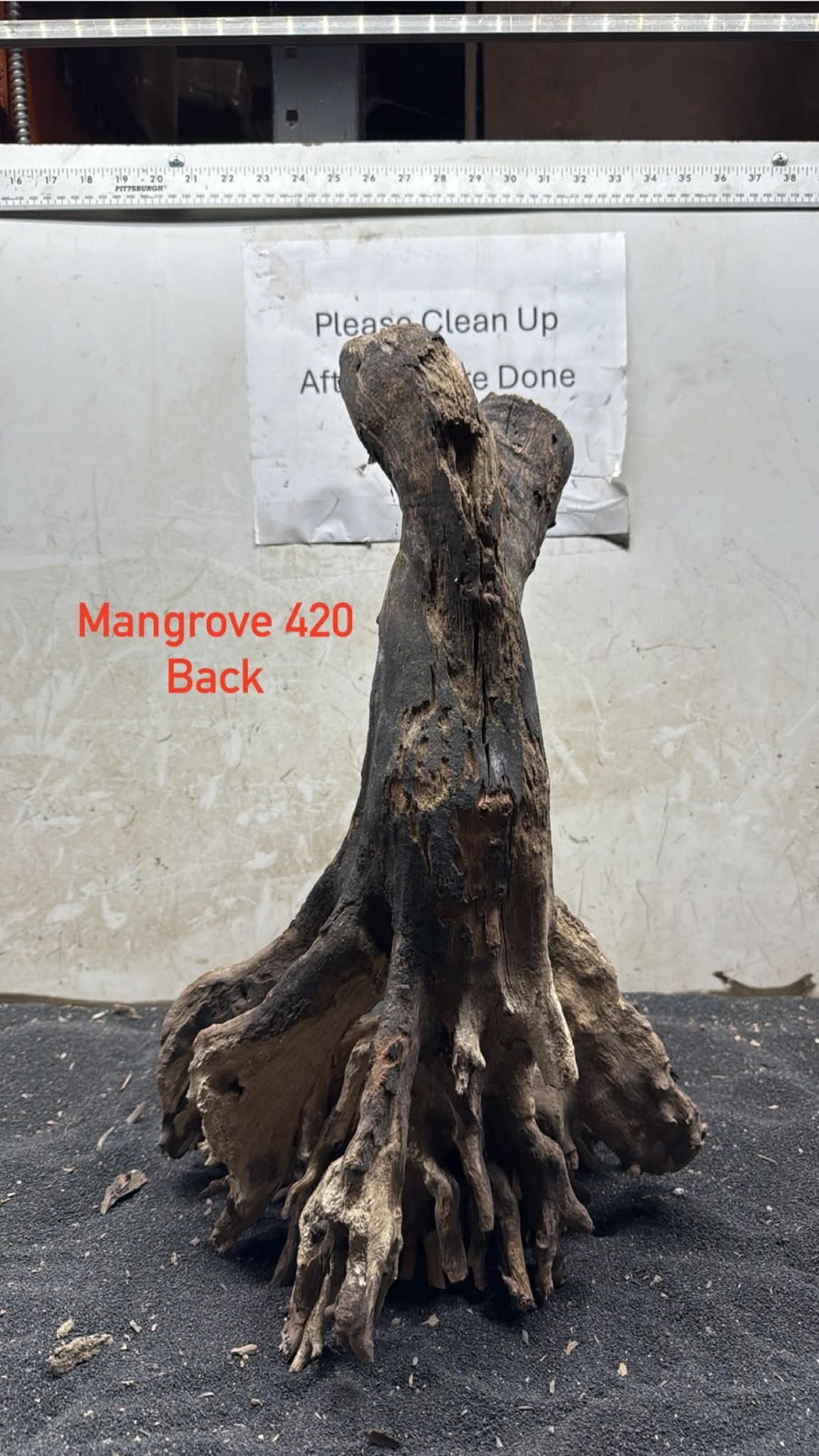 Mangrove Tree Stump 420