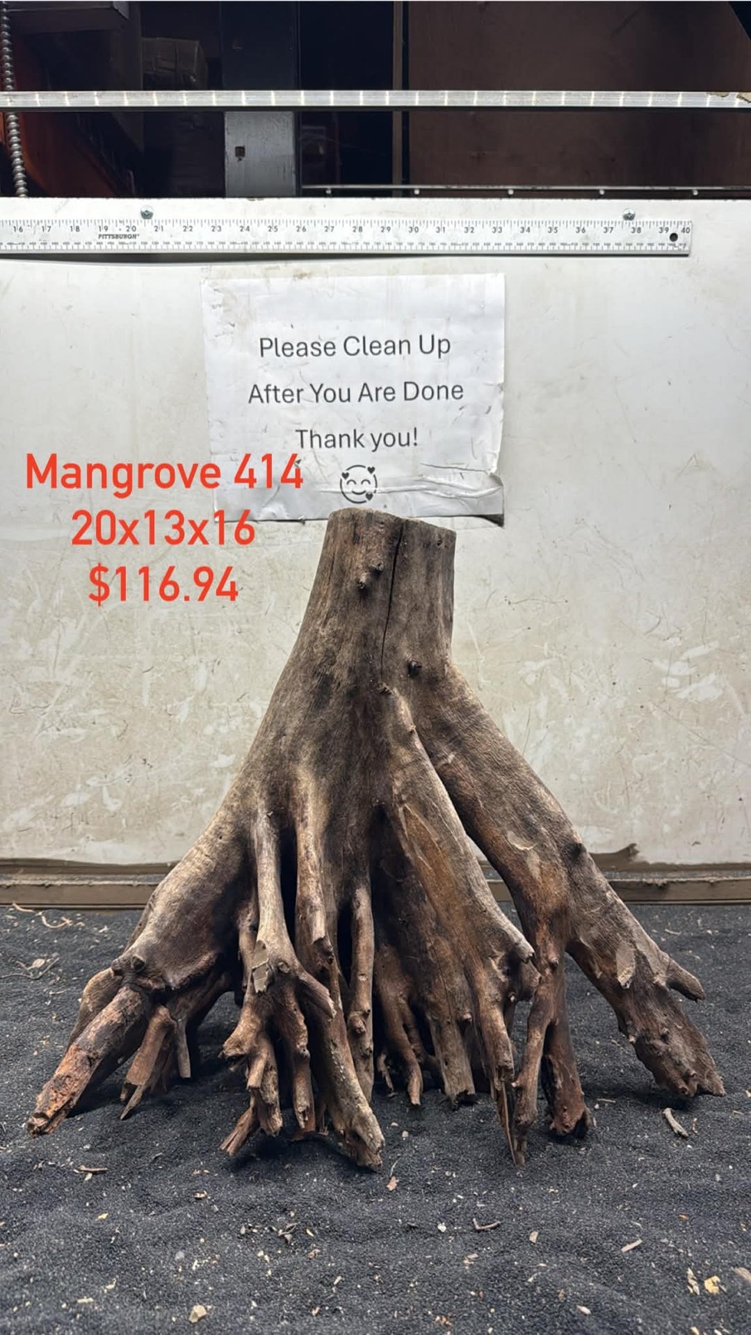 Mangrove Tree Stump 414