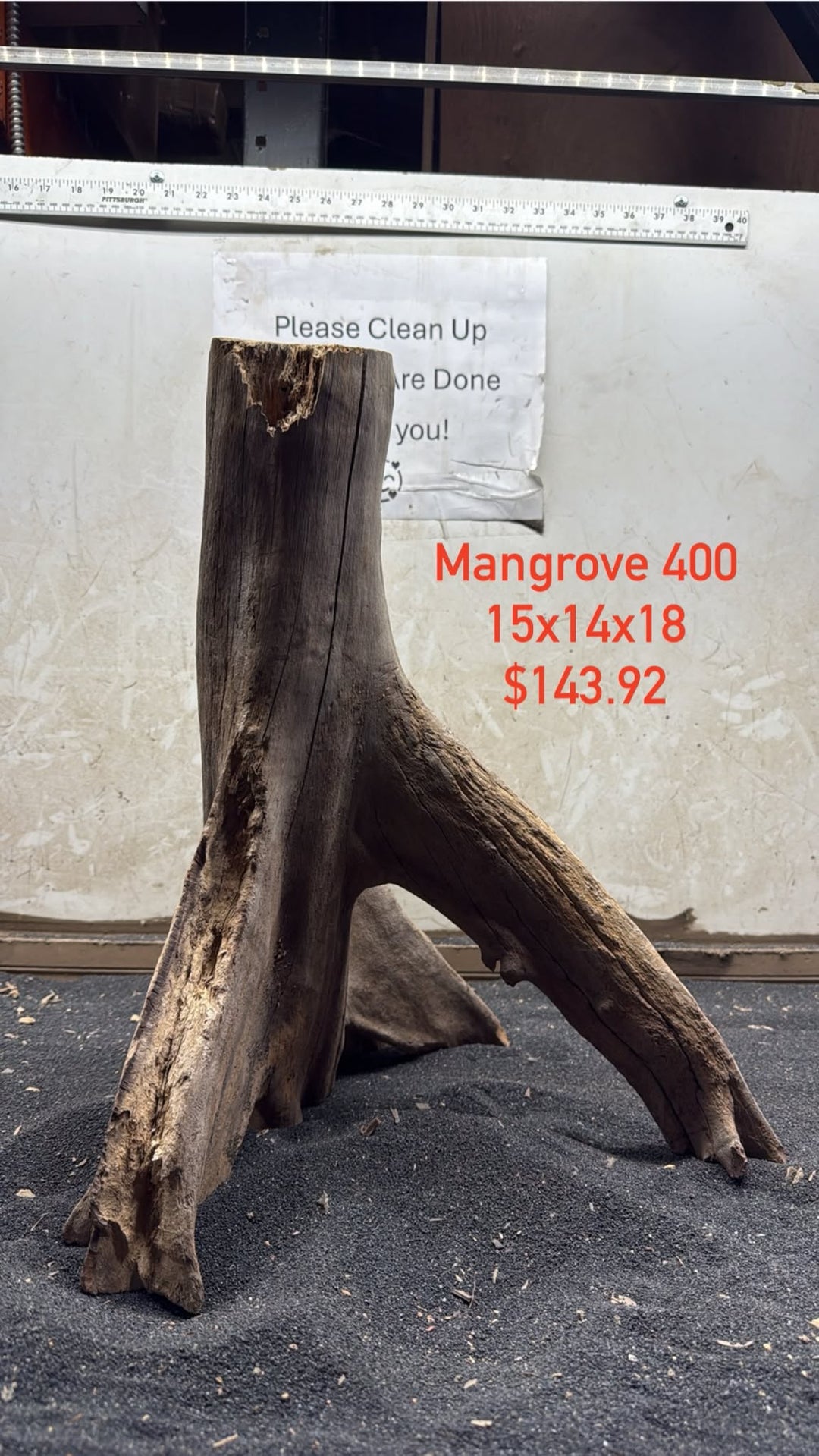 Mangrove Tree Stump 400