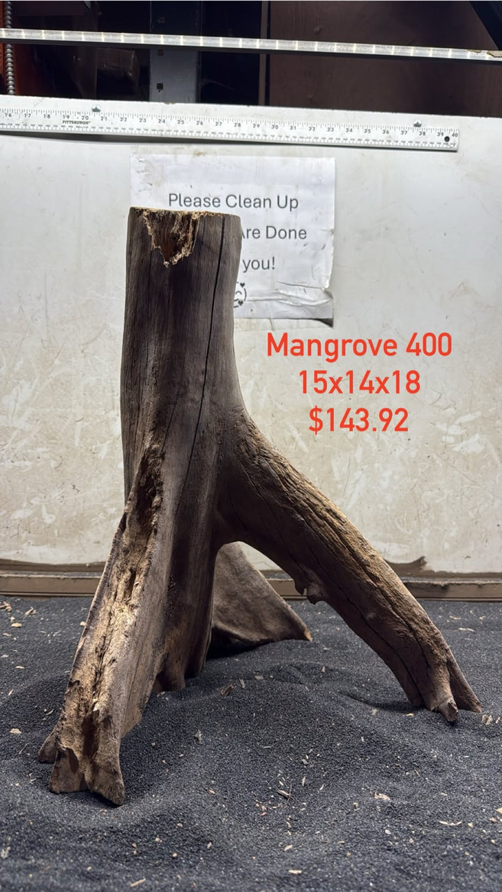 Mangrove Tree Stump 400
