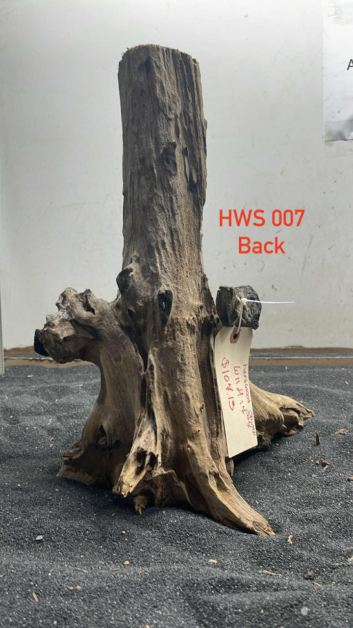 Hardwood Stump 007