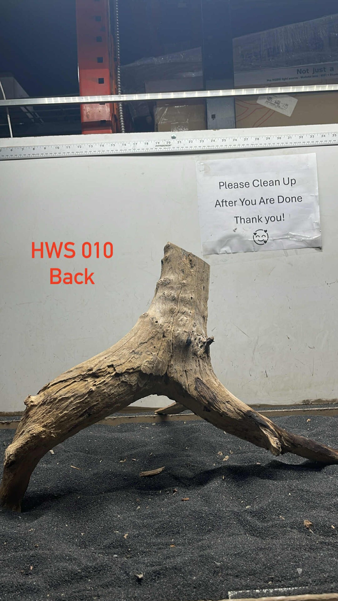 Hardwood Stump 010