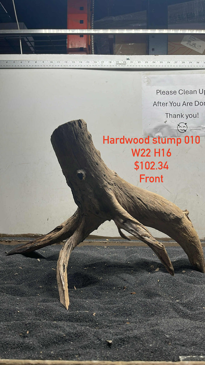 Hardwood Stump 010