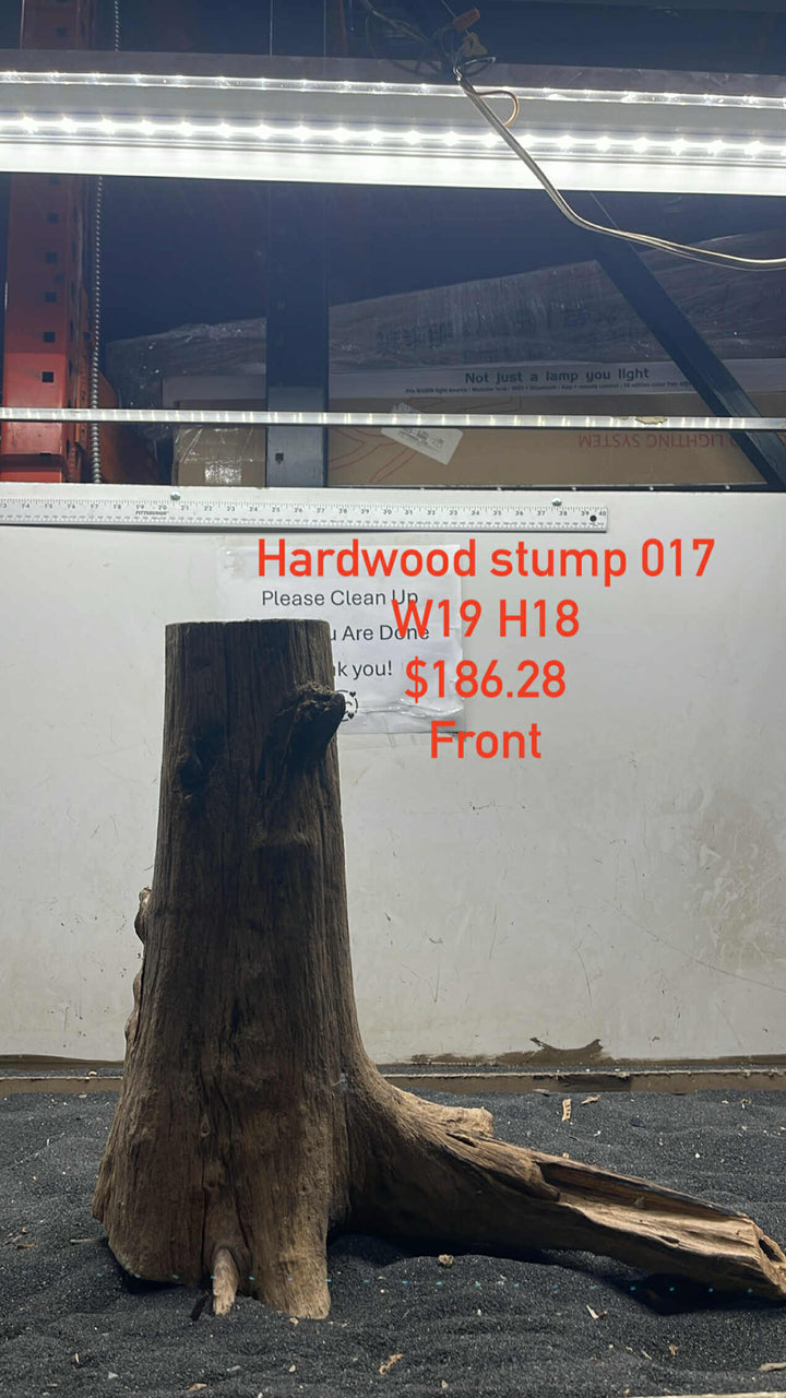 Hardwood Stump 017