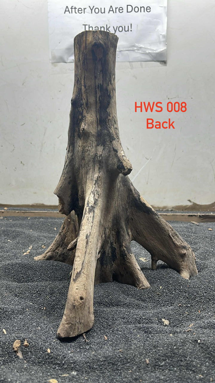 Hardwood Stump 008