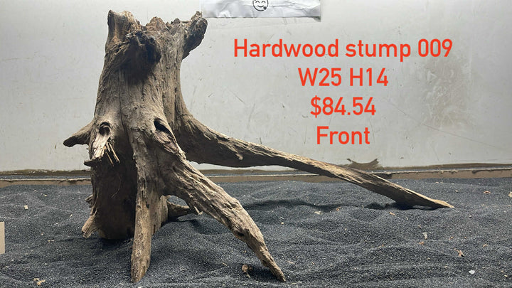 Hardwood Stump 009