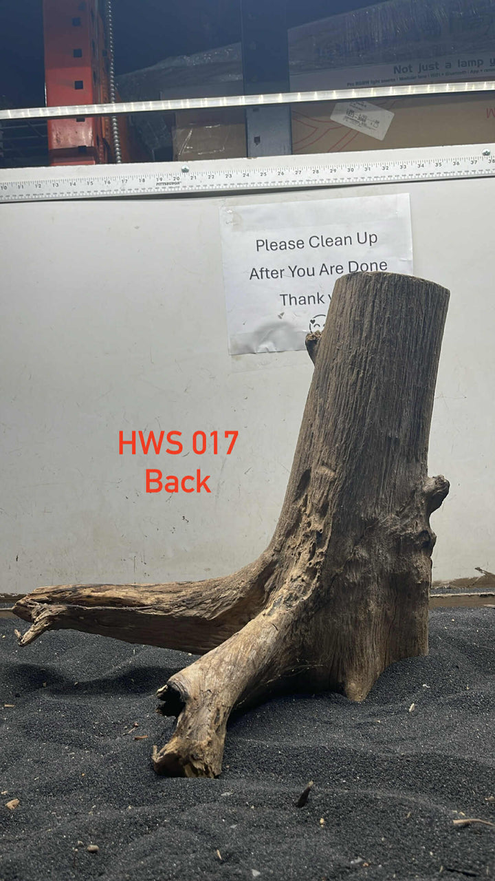 Hardwood Stump 017