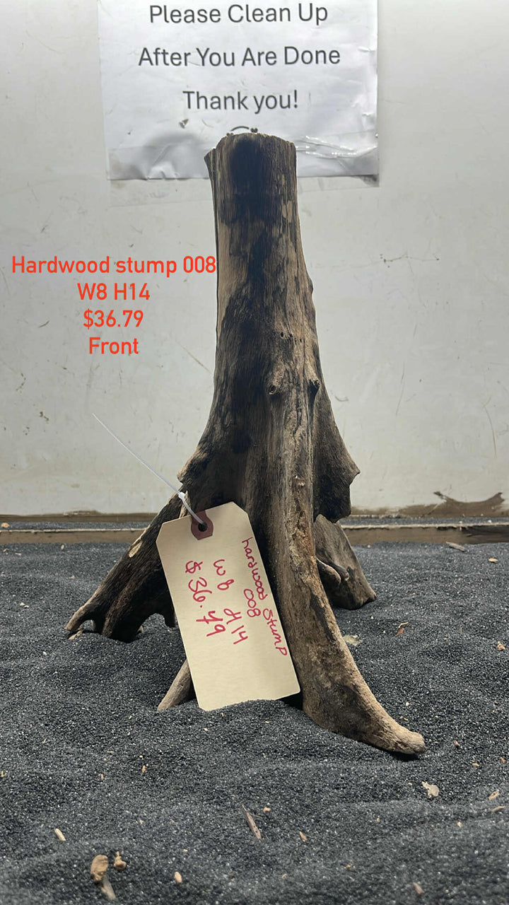 Hardwood Stump 008