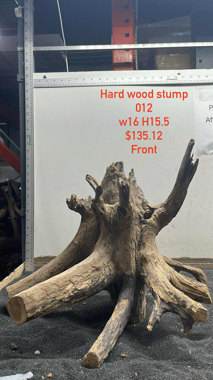 Hardwood Stump 012
