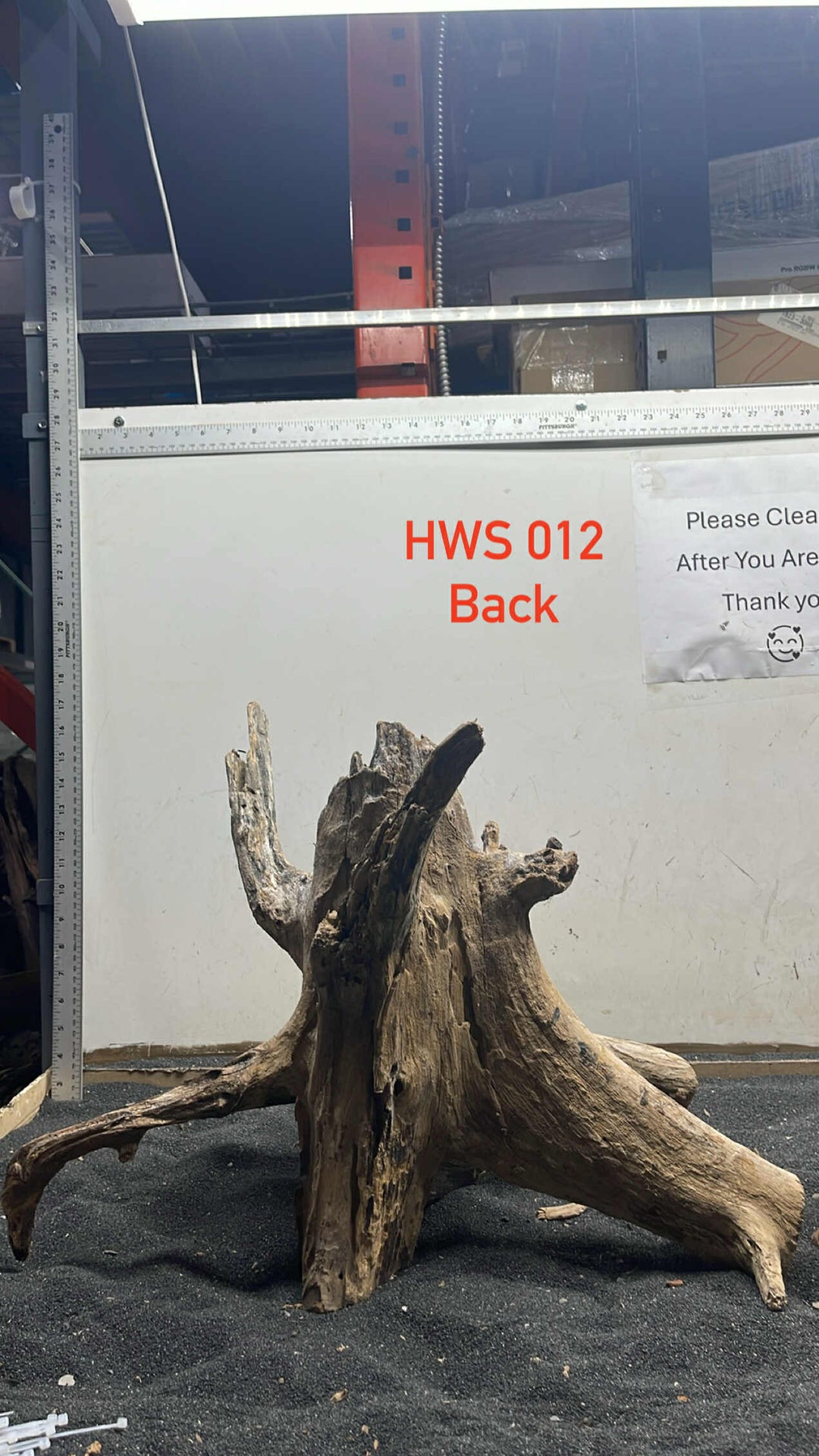 Hardwood Stump 012