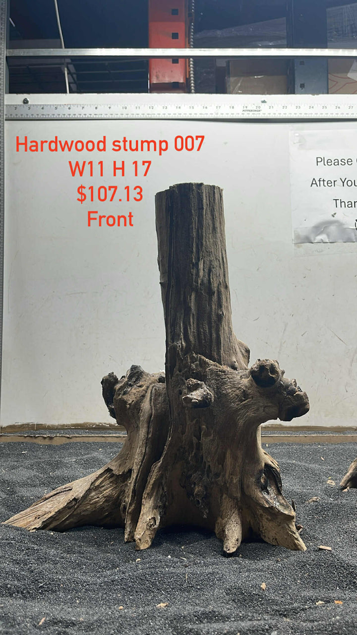 Hardwood Stump 007