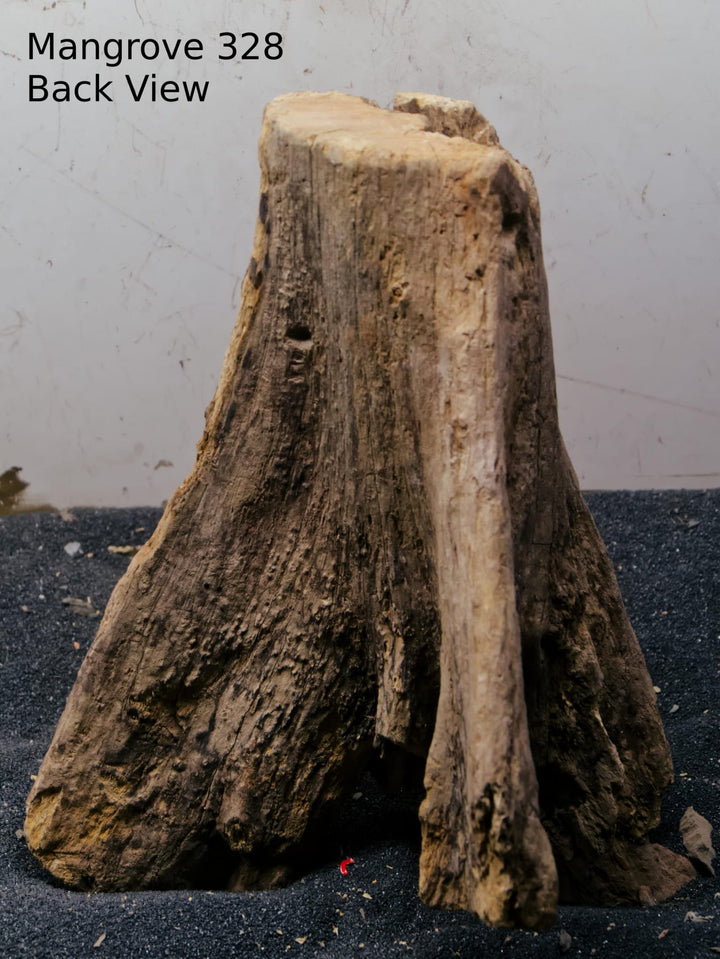 Mangrove Tree Stump 328