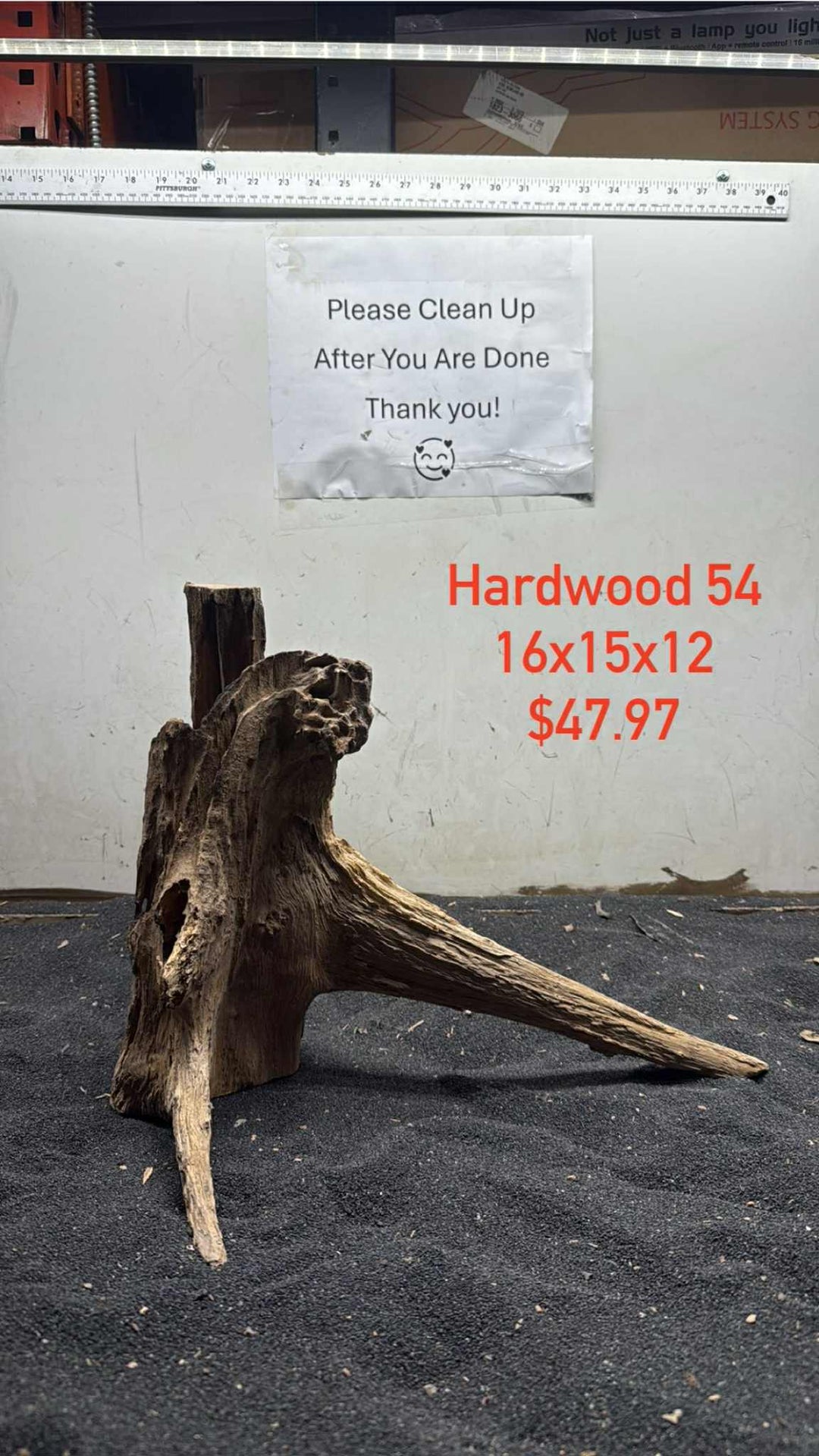Hardwood Stump 054