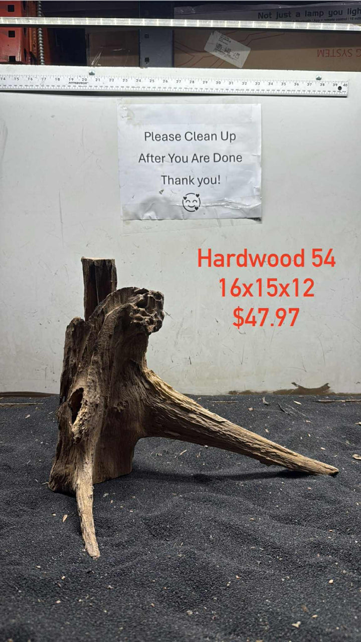 Hardwood Stump 054