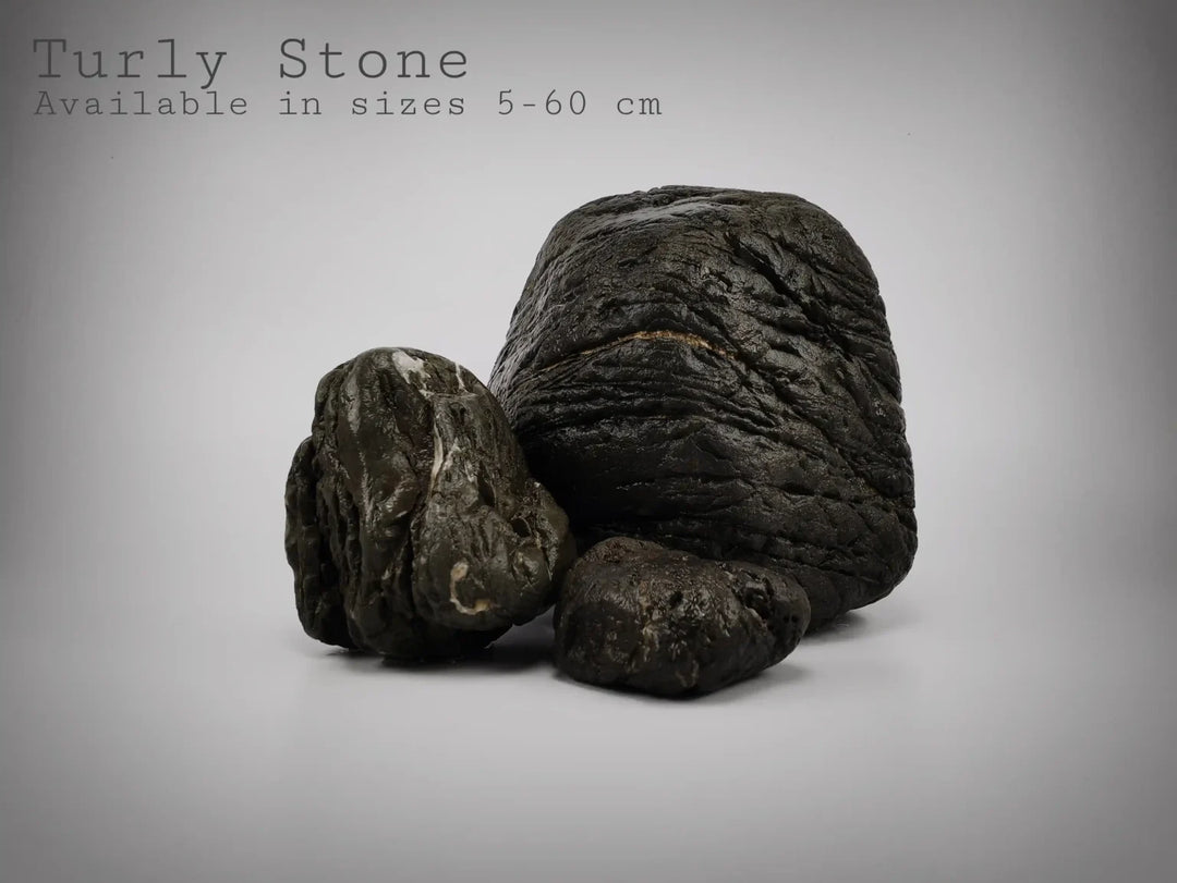 Turly Stone Aquascaping Rocks from Indonesia