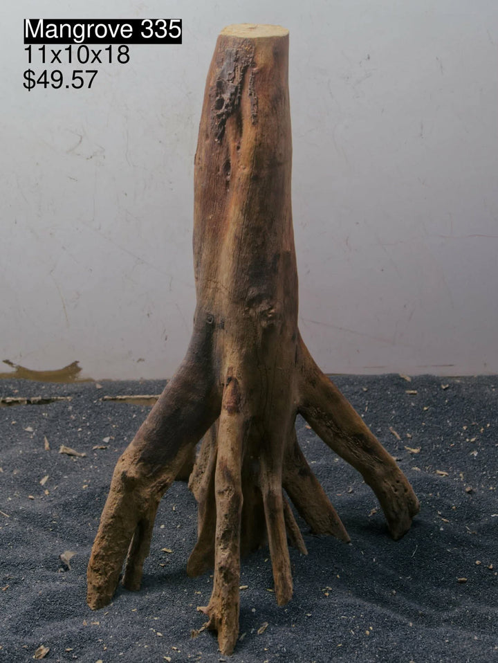 Mangrove Tree Stump 335
