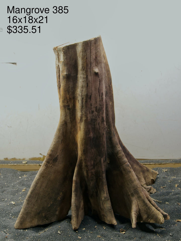 Mangrove Tree Stump 385