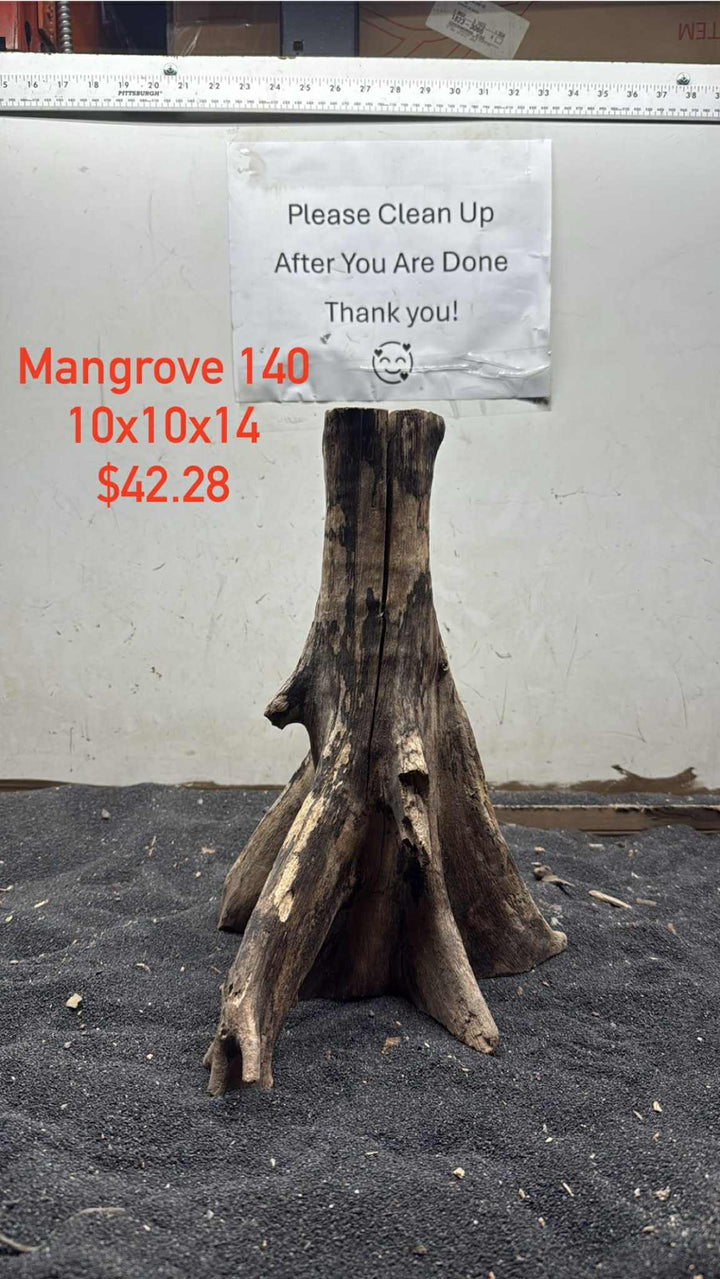 Mangrove Tree Stump 140