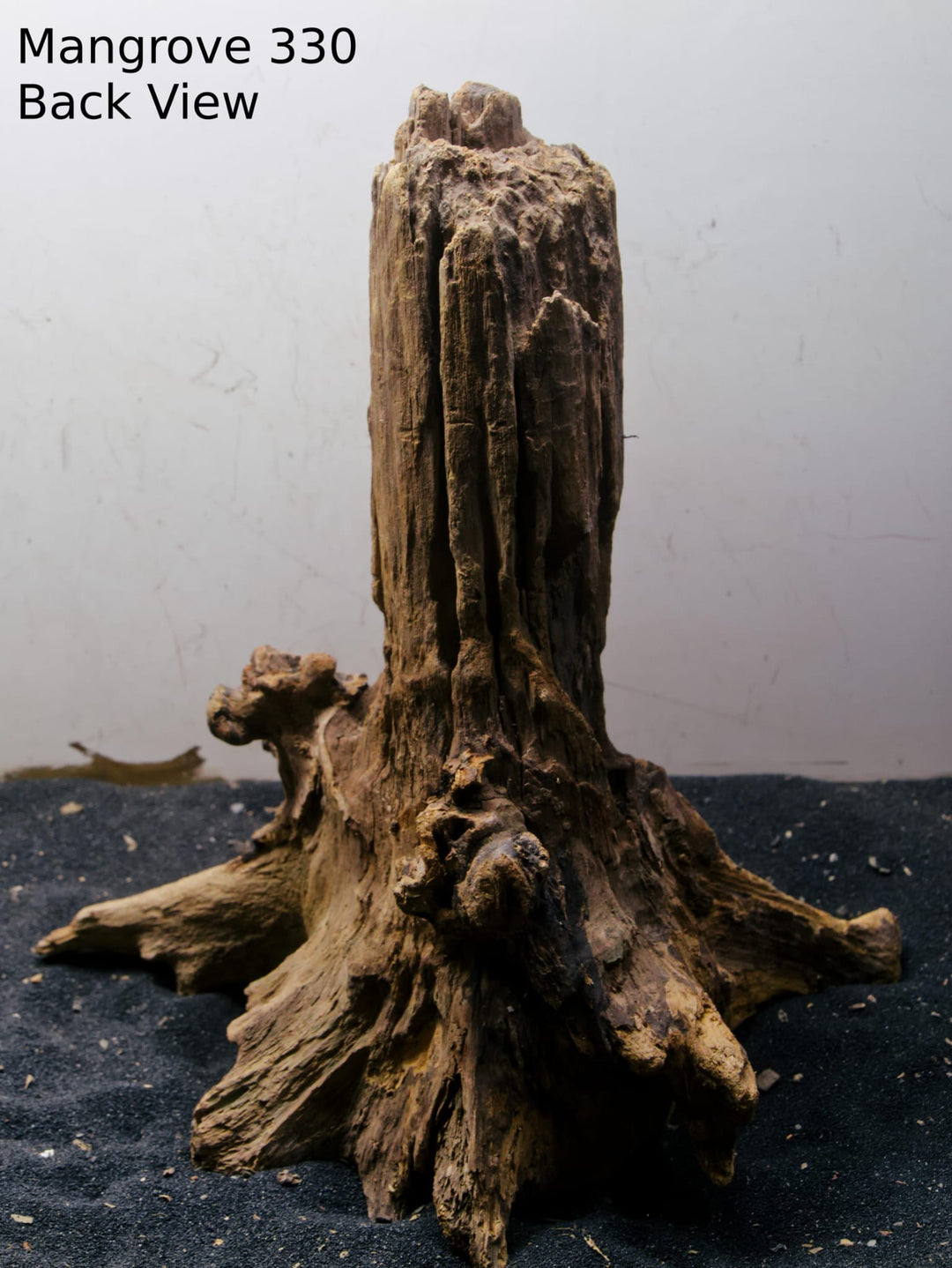Mangrove Tree Stump 330