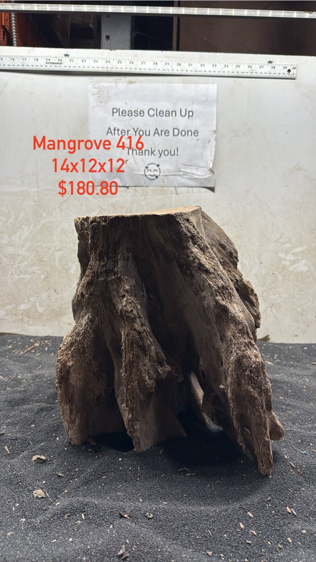 Mangrove Tree Stump 416