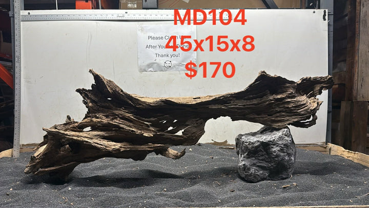 Malaysian Driftwood Showpiece