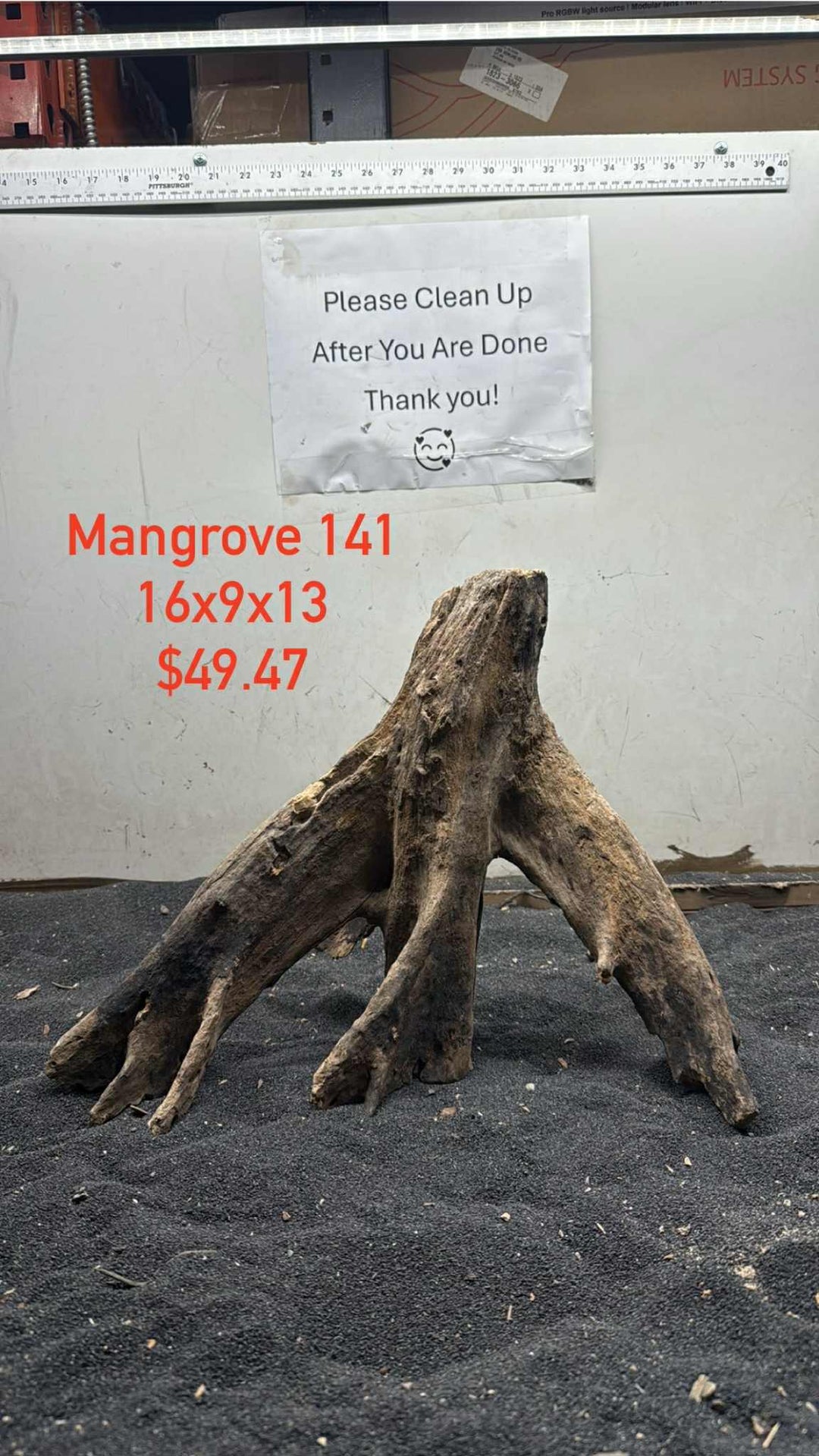 Mangrove Tree Stump 141