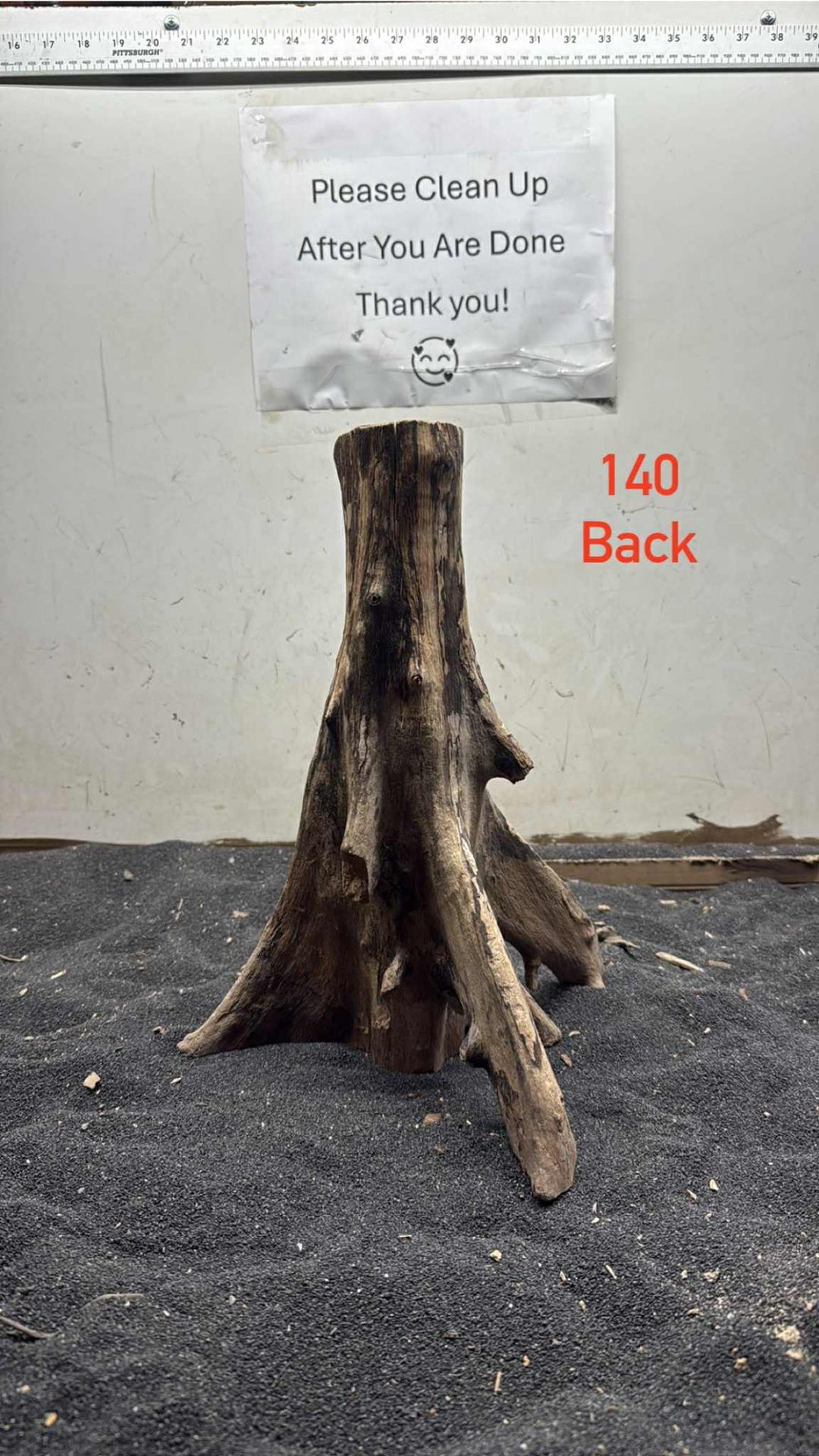 Mangrove Tree Stump 140