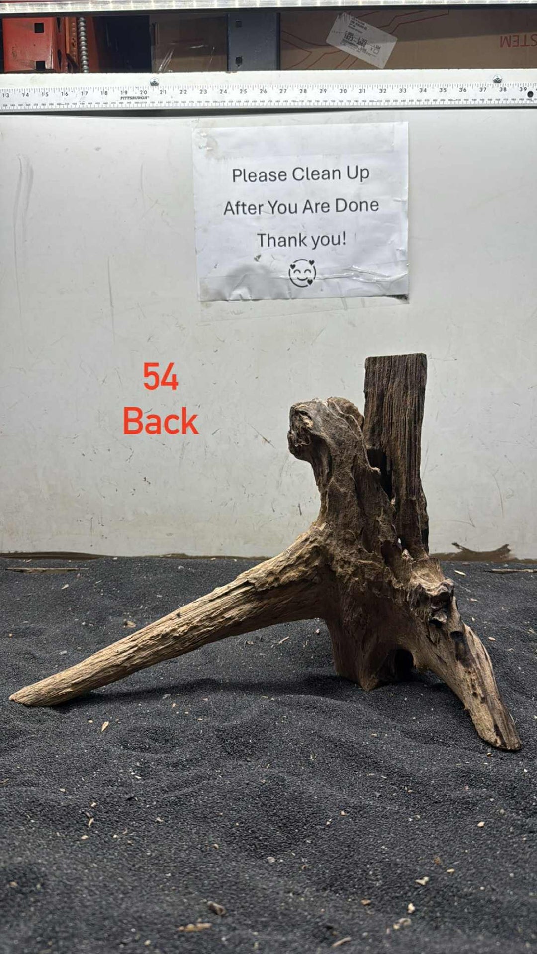 Hardwood Stump 054