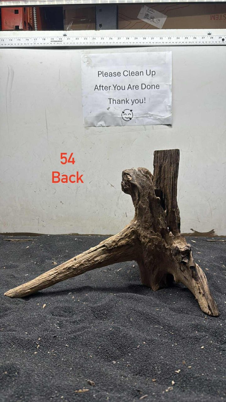 Hardwood Stump 054