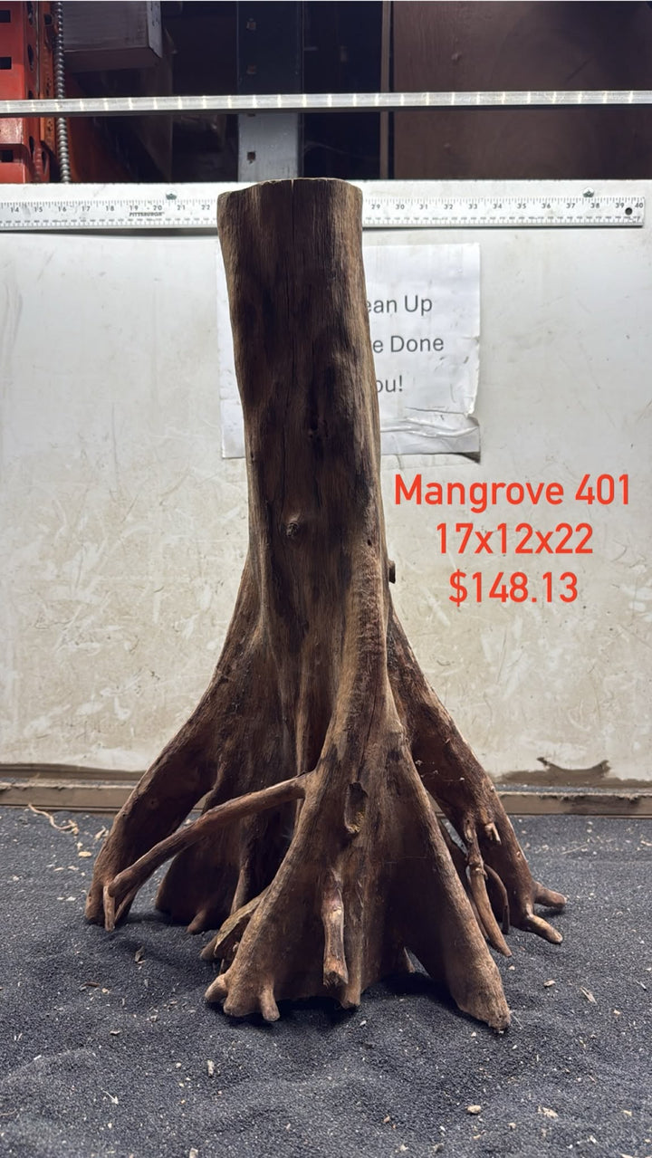 Mangrove Tree Stump 401