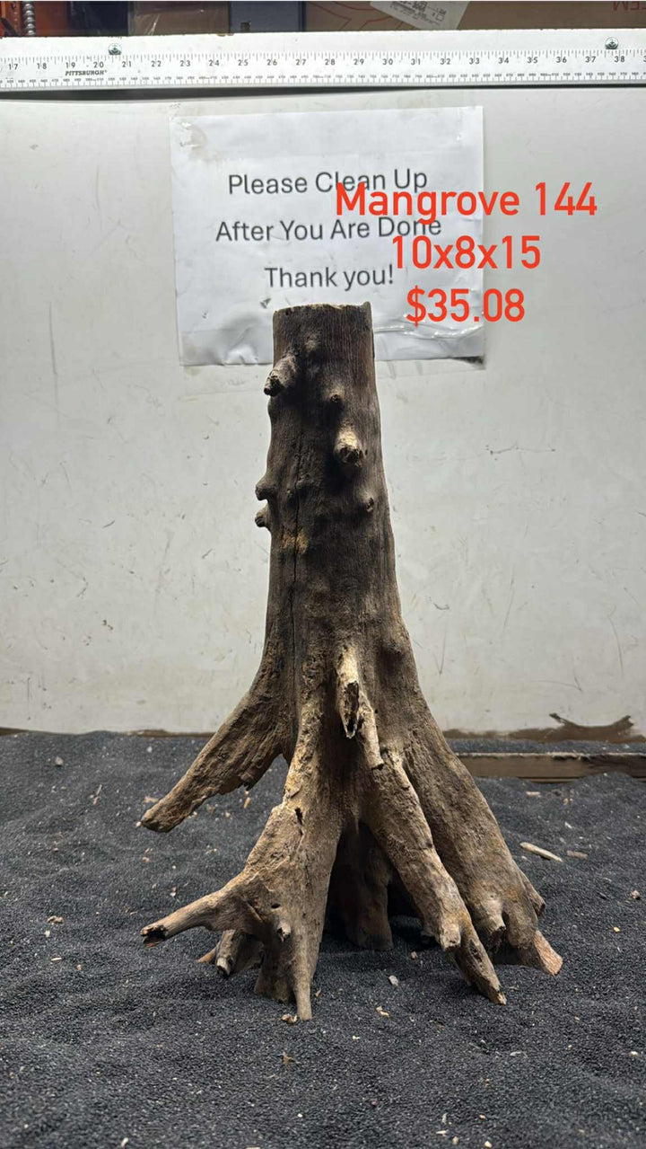 Mangrove Tree Stump 144