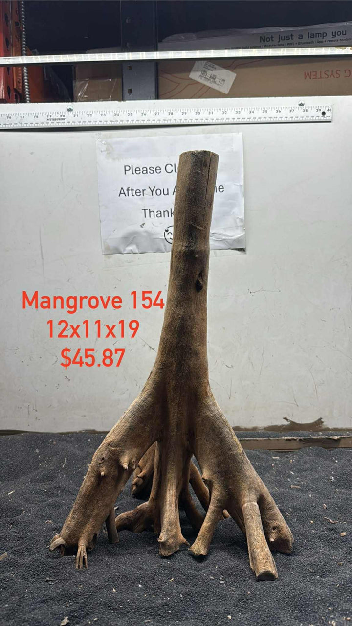 Mangrove Tree Stump 154