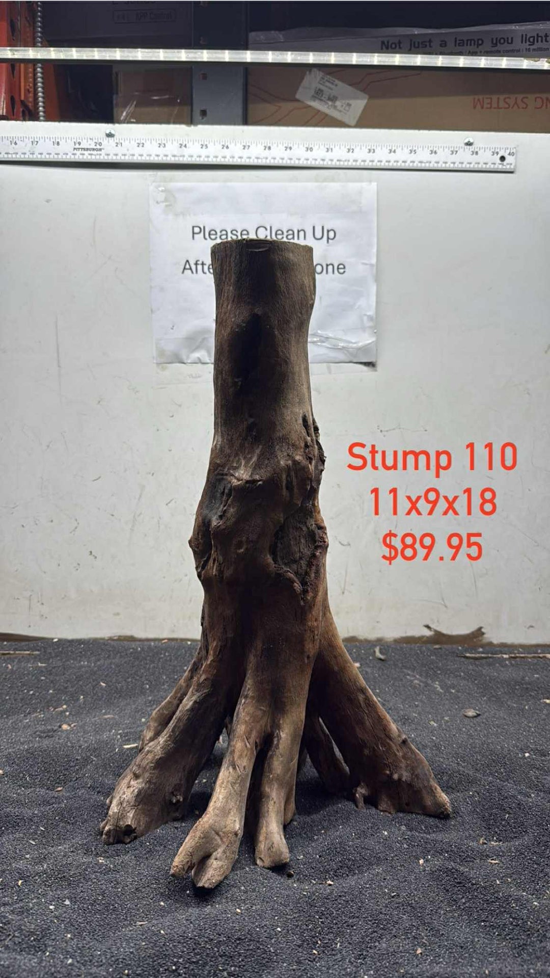 Mangrove Tree Stump 110