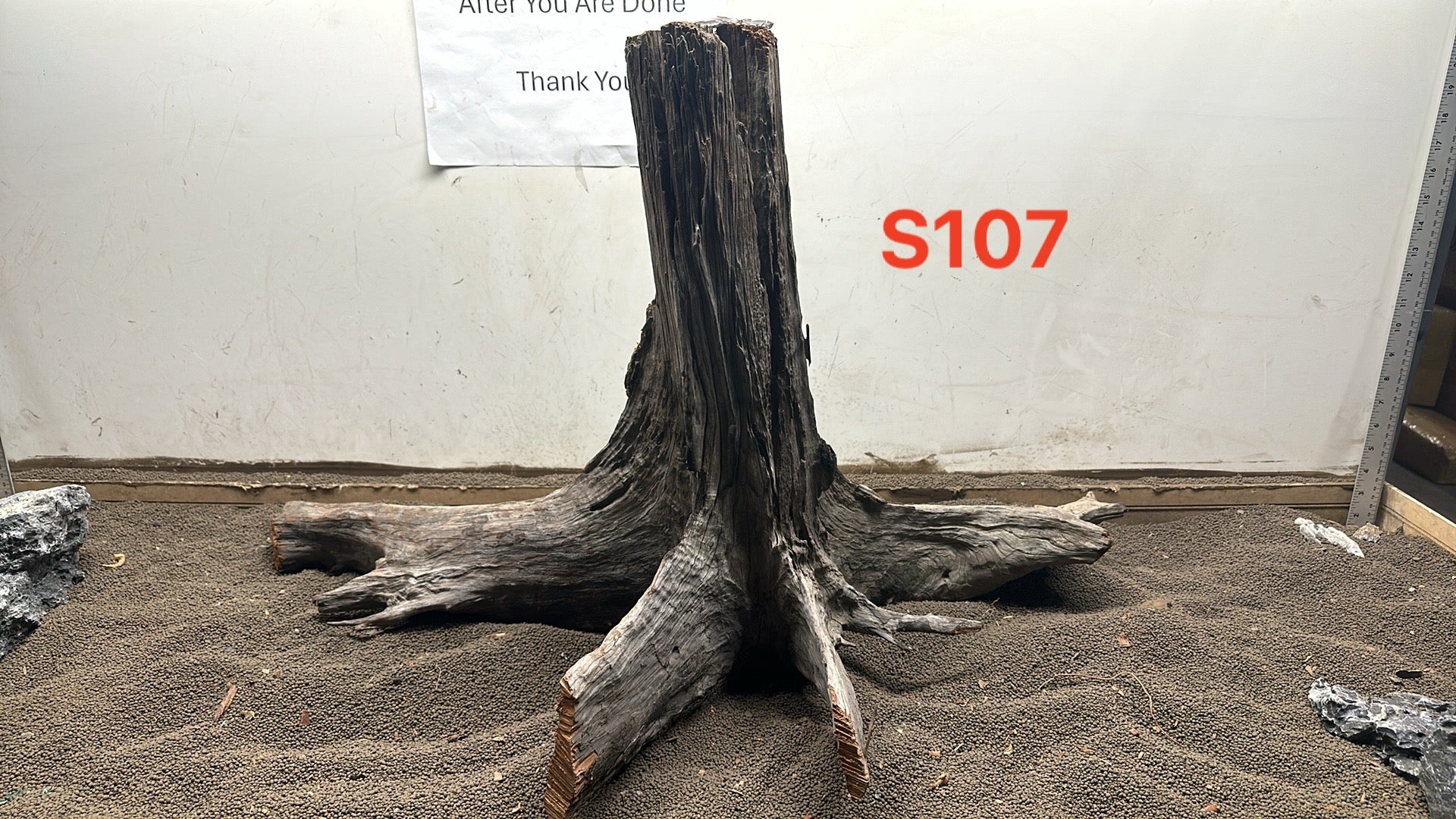 Aqua Rocks Colorado: Elevate Your Aquascape with Premium Supplies