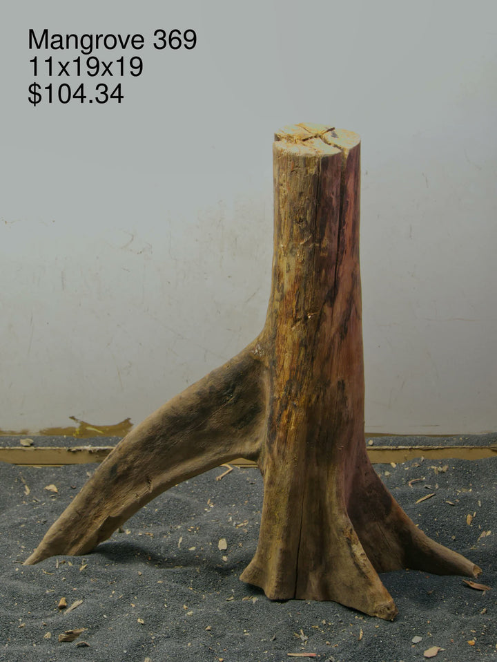 Mangrove Tree Stump 369