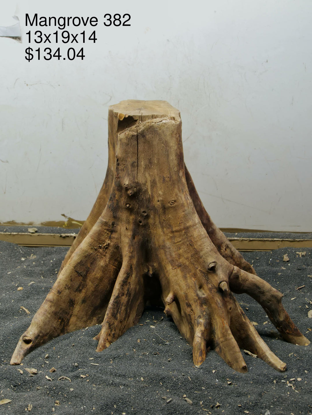 Mangrove Tree Stump 382