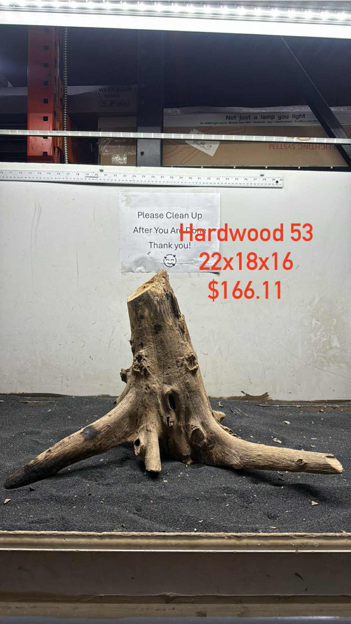 Hardwood Stump 053