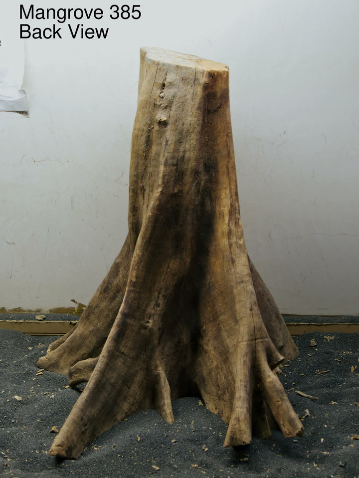Mangrove Tree Stump 385