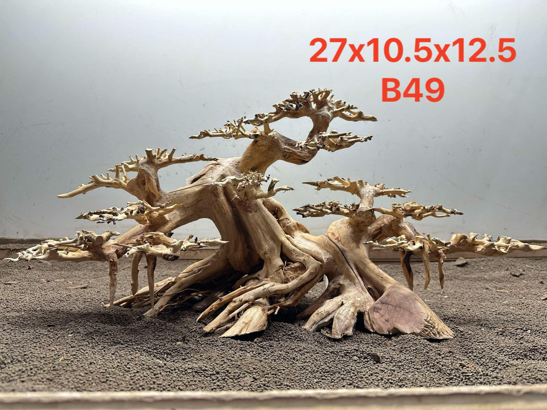 Bonsai Driftwood B48