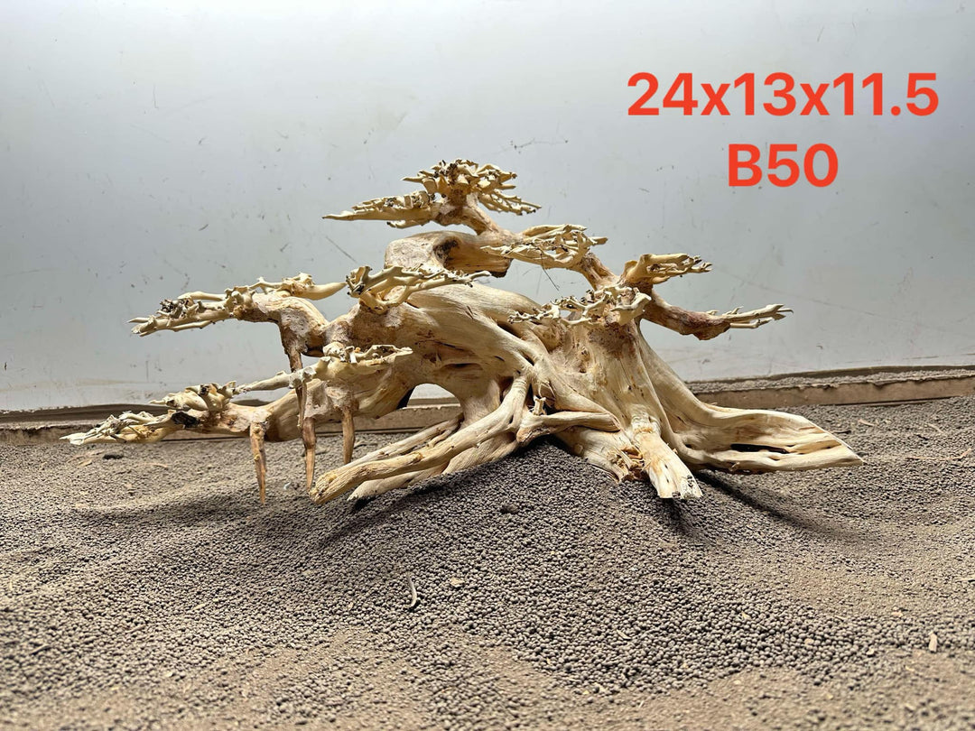 Bonsai Driftwood B50