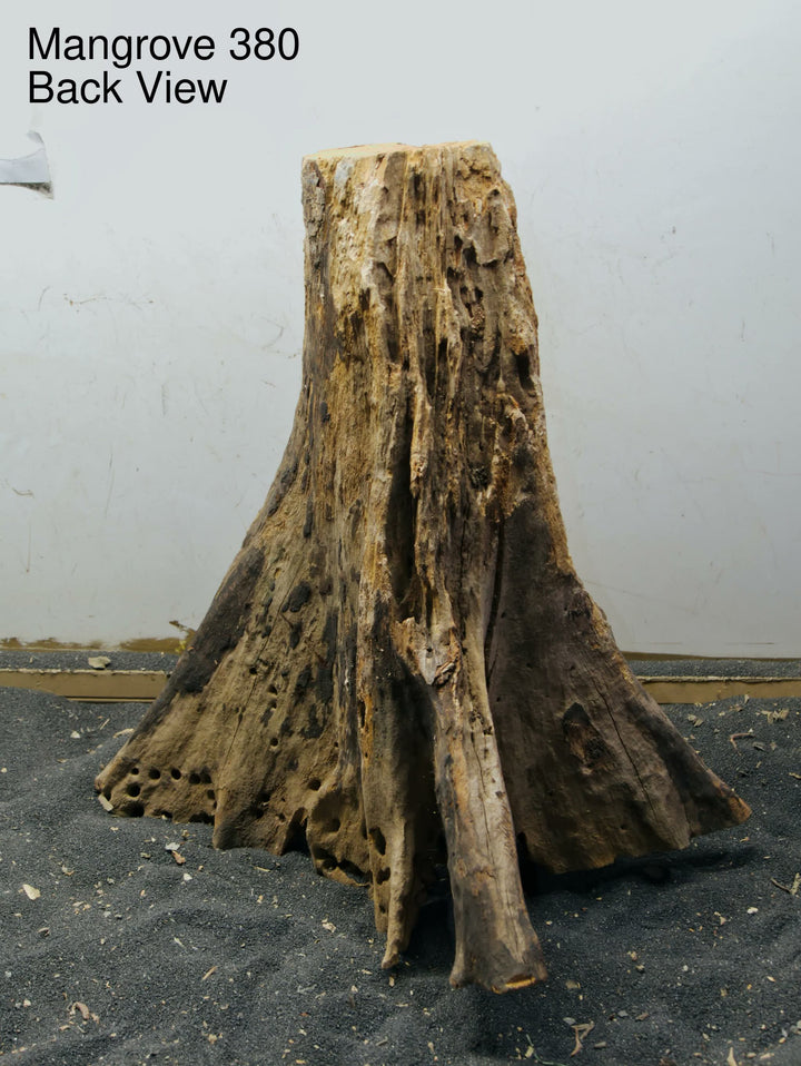 Mangrove Tree Stump 380